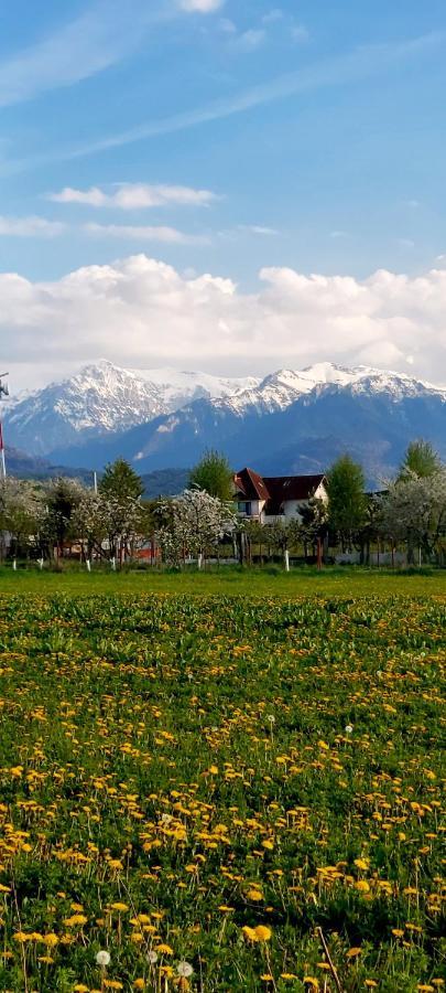 Das Home Rasnov Exterior foto