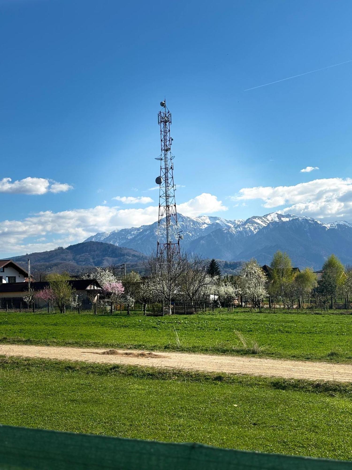 Das Home-Apartament Cu Vedere La Munte Rîşnov Exterior foto