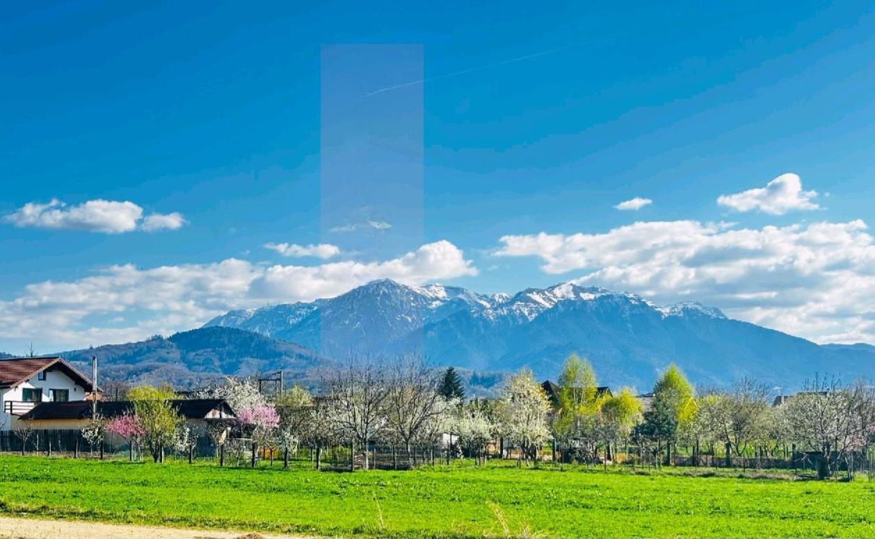 Das Home Rasnov Exterior foto